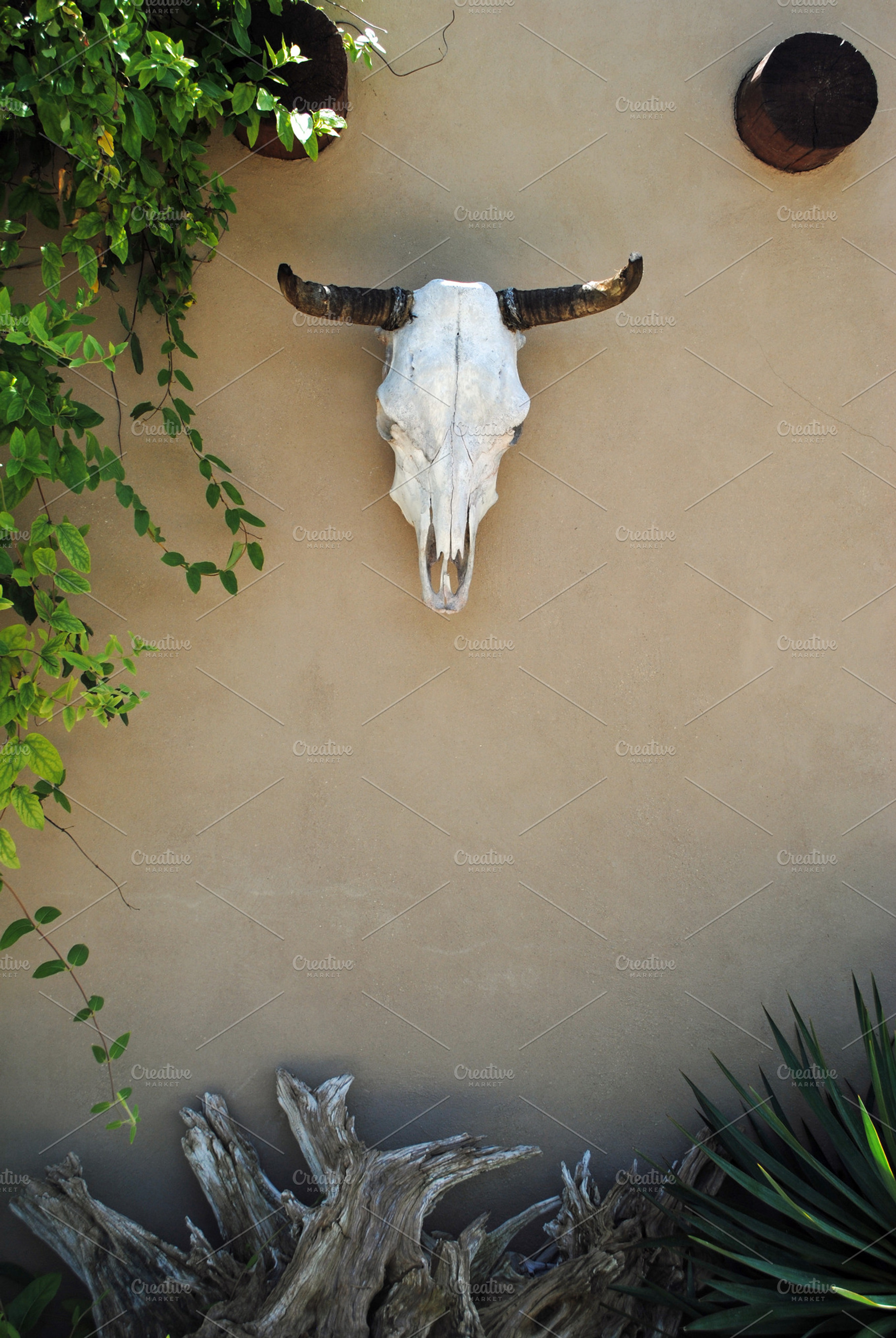 Rustic Courtyard