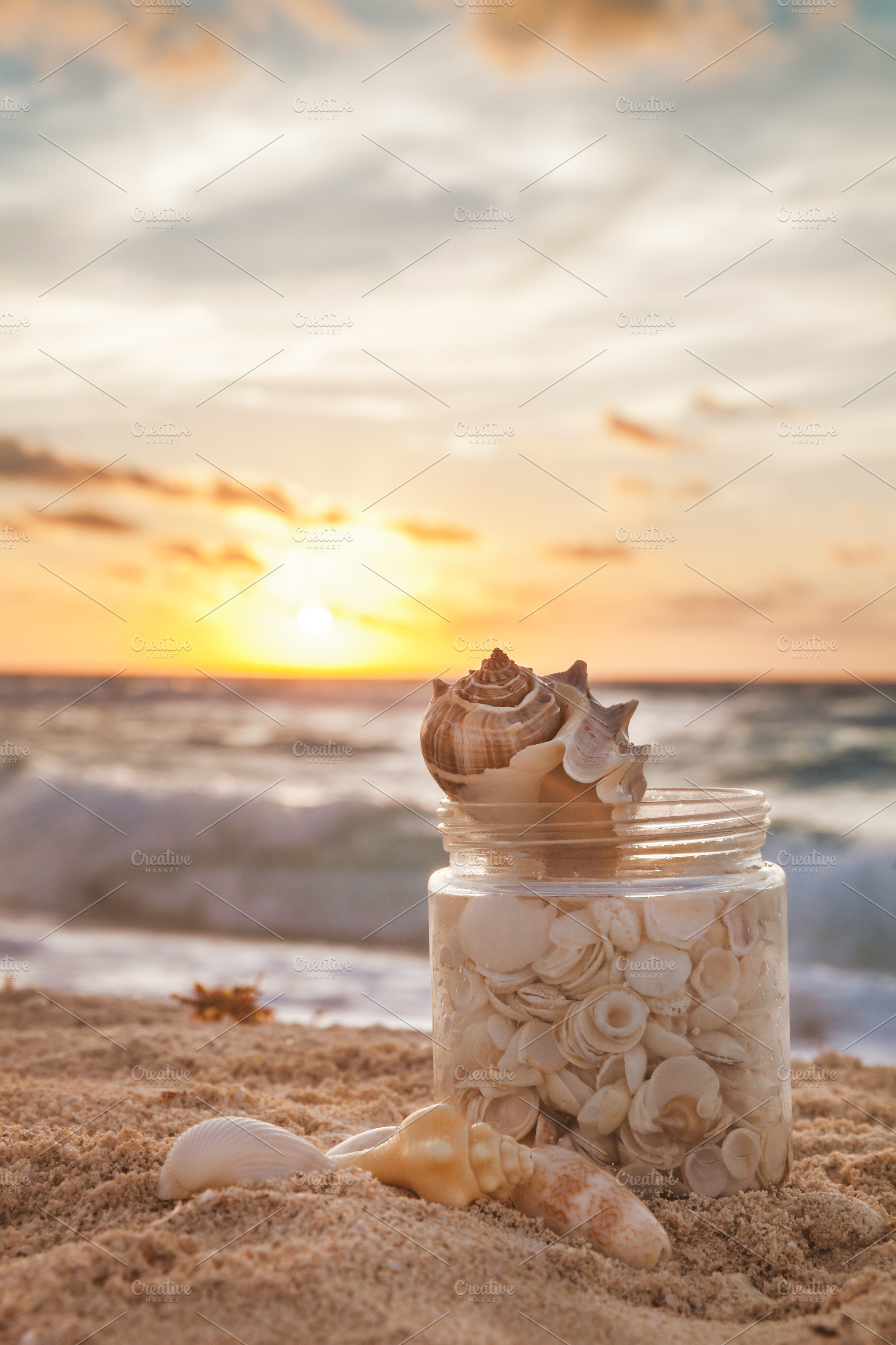 Sea Shells At Sunrise, a Nature Photo by PhotographerJen