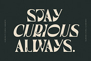 Waflerd Modern Display Font, a Serif Font by Letterena Studios (Thumbnail 9 of 15)
