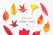 Autumn Leaves Watercolor Clip art, an Illustration by Eomoiart (Thumbnail 3 of 4)