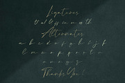 Calvin Fallen - Handwritten Font, a Script Font by StringLabs (Thumbnail 8 of 9)