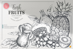 Fresh Fruits Vector Set