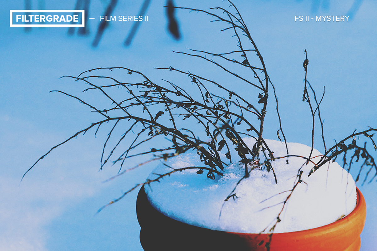 FilterGrade Film Series II preview 4