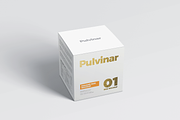 Box / Packaging MockUp - Square, a Cups & Container Mockup by coloformia (Thumbnail 4 of 8)