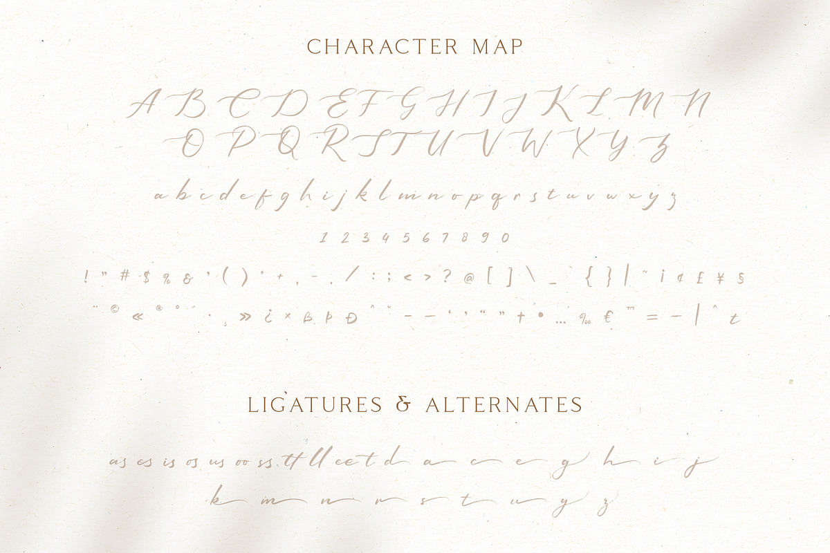 Sophiscated - A Lovely Script Font preview 8