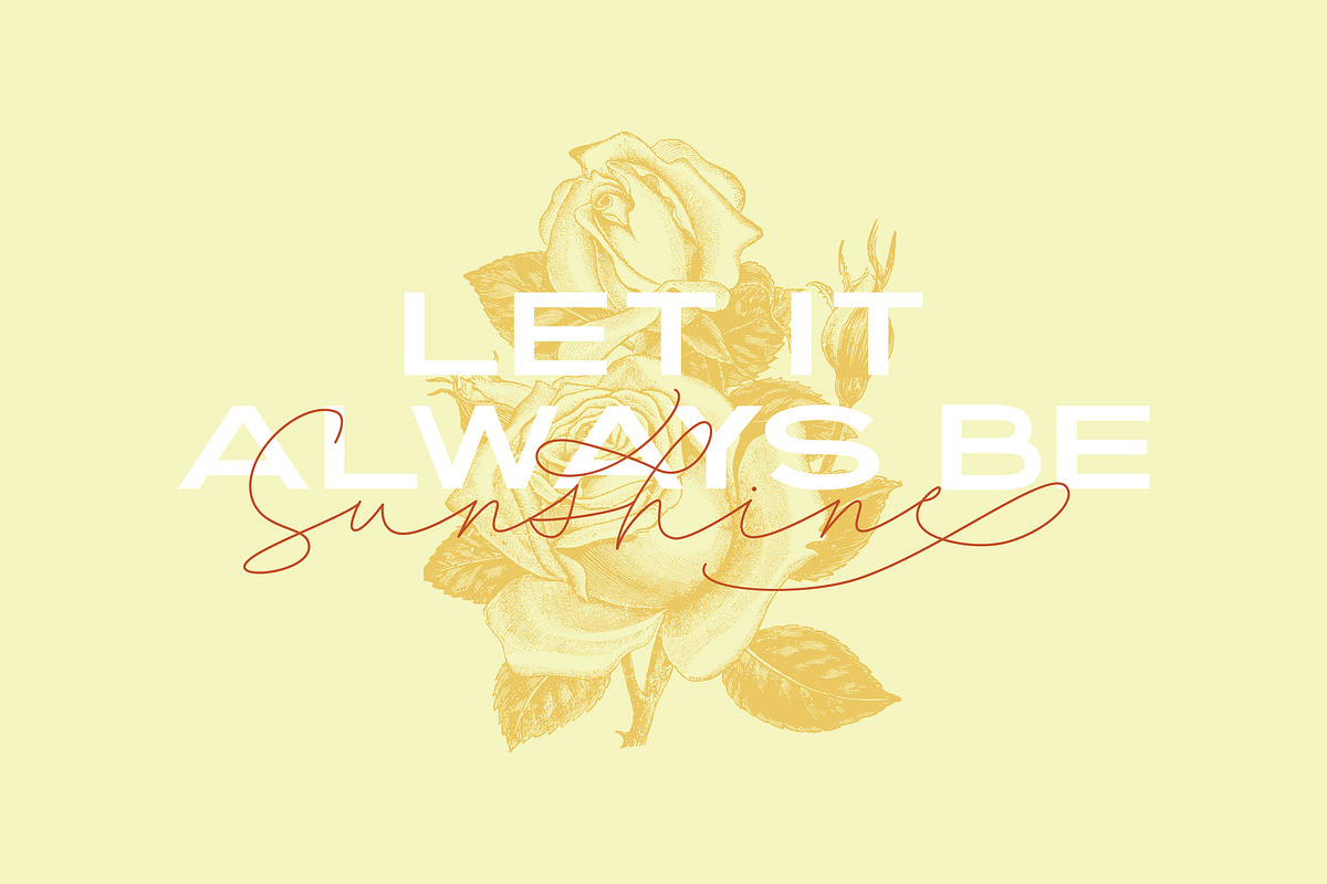 Angelia Font Duo preview 6