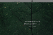 Shopify Candle Theme Light Green, a Templates & Theme by Exclusive Themes (Thumbnail 9 of 10)