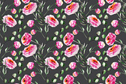 Tender peony patterns and elements, a Decorative Illustration by SuperNata (Thumbnail 4 of 5)
