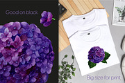 Hydrangea watercolor clipart PNG, an Illustration by Anntre (Thumbnail 3 of 3)
