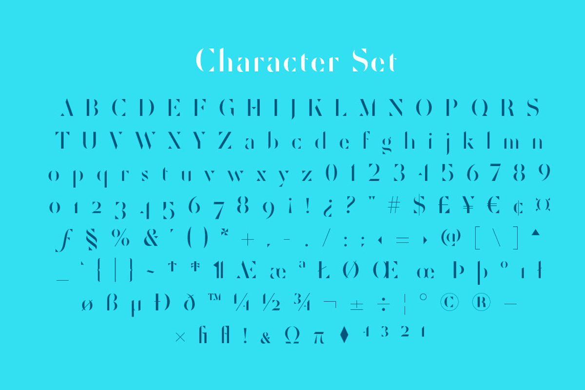 Liqwid Typeface preview 6