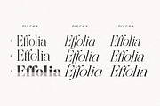 The Effolia | 9-Weight Classy Family, a Serif Font by Pista Mova (Thumbnail 3 of 31)