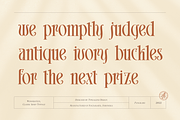 Widderstein, a Serif Font by ilhamtaro (Thumbnail 7 of 12)