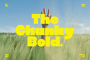 Sugra | Bold Display Sans Serif Font, a Sans Serif Font by Typoraith Co (Thumbnail 4 of 10)