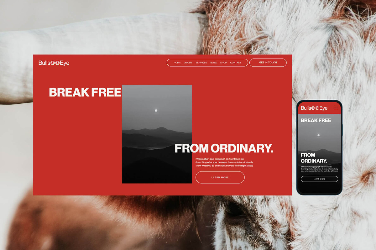 Bullseye Squarespace Website Template preview 5