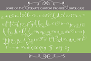 Cantoni Pro Bold Font, a Script Font by Debi Sementelli (Thumbnail 3 of 4)