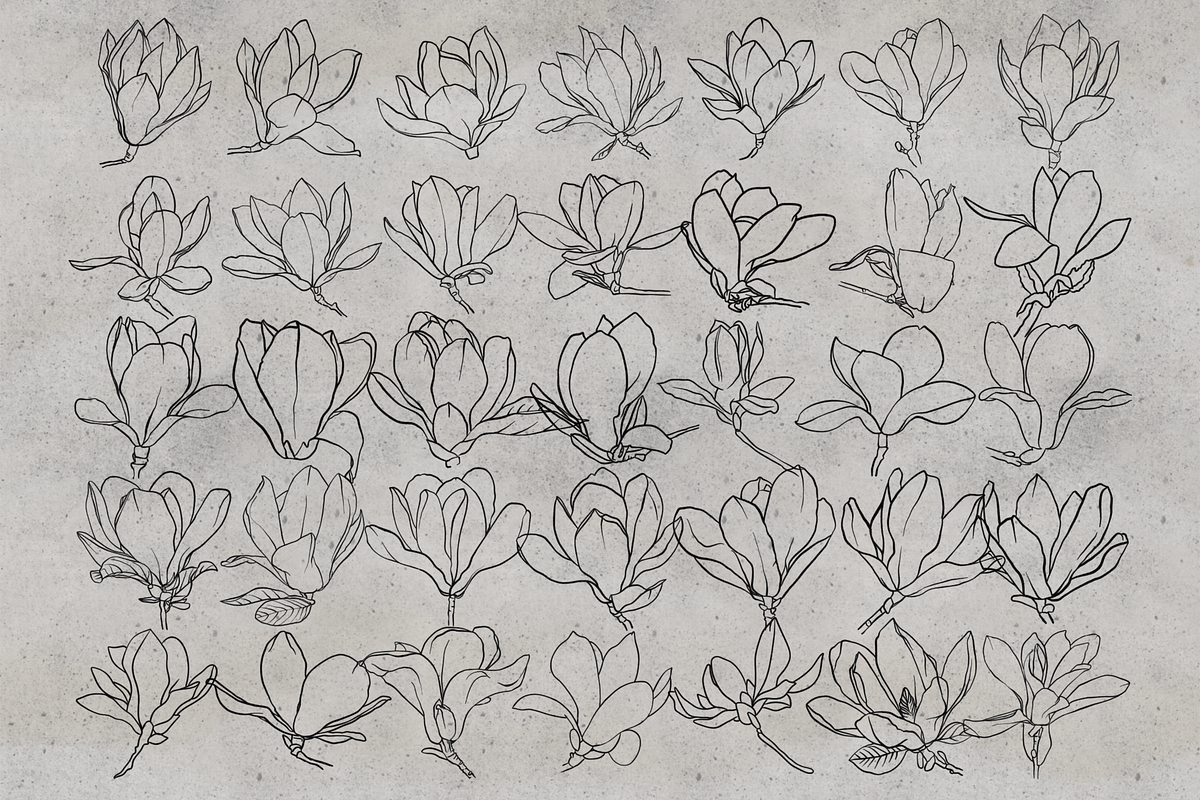 100 Magnolia Procreate Stamps, a Brush Add-On by TheWhiteCatLab (Photo 3 of 5)