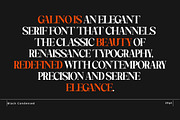 Galino, a Serif Font by Nurul_kamal (Thumbnail 2 of 14)