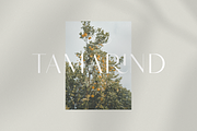 Hello Paris - Modern Sans, a Sans Serif Font by Sans & Sons (Thumbnail 3 of 10)