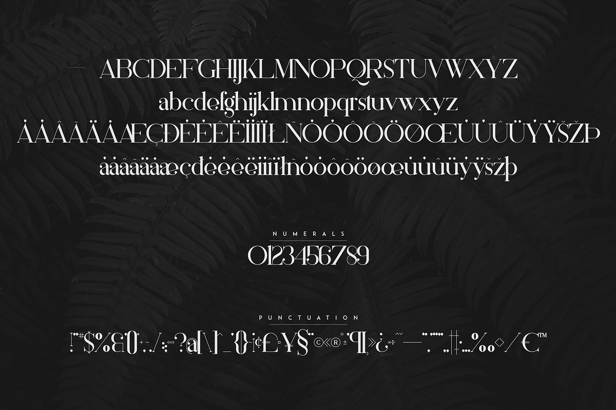 Silver Queen - Serif Typeface, a Serif Font by VP Fonts (Photo 10 of 12)