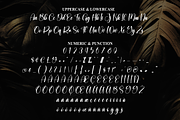 Simplicity | Script Font, a Handwritten Font by Scratchones (Thumbnail 6 of 8)