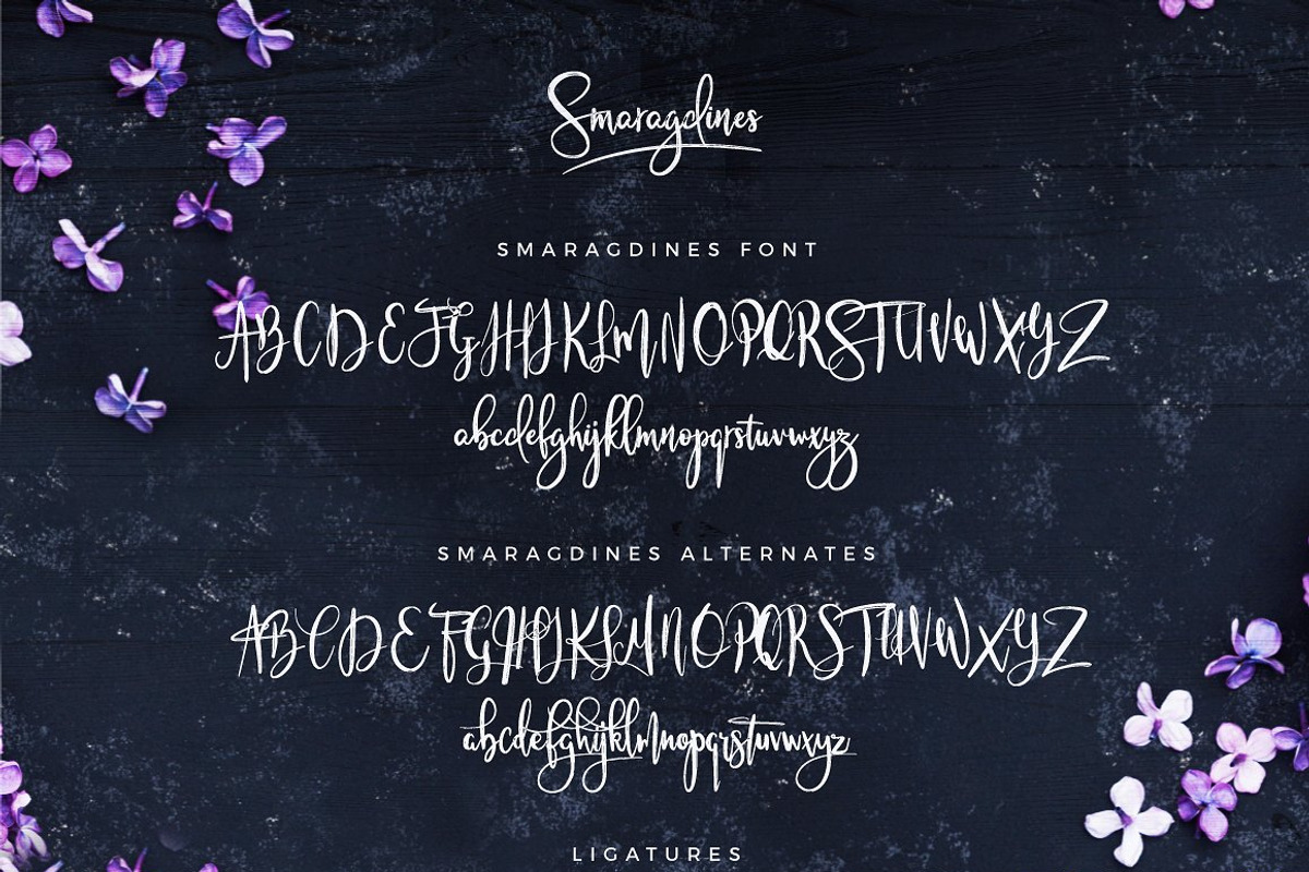 Typographer's Dream Box + 200 Logos, a Script Font by Mats-Peter Forss (Photo 85 of 130)
