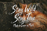 Eurama Ultura - Expressive Script, a Handwritten Font by HypeWorksCo (Thumbnail 12 of 17)