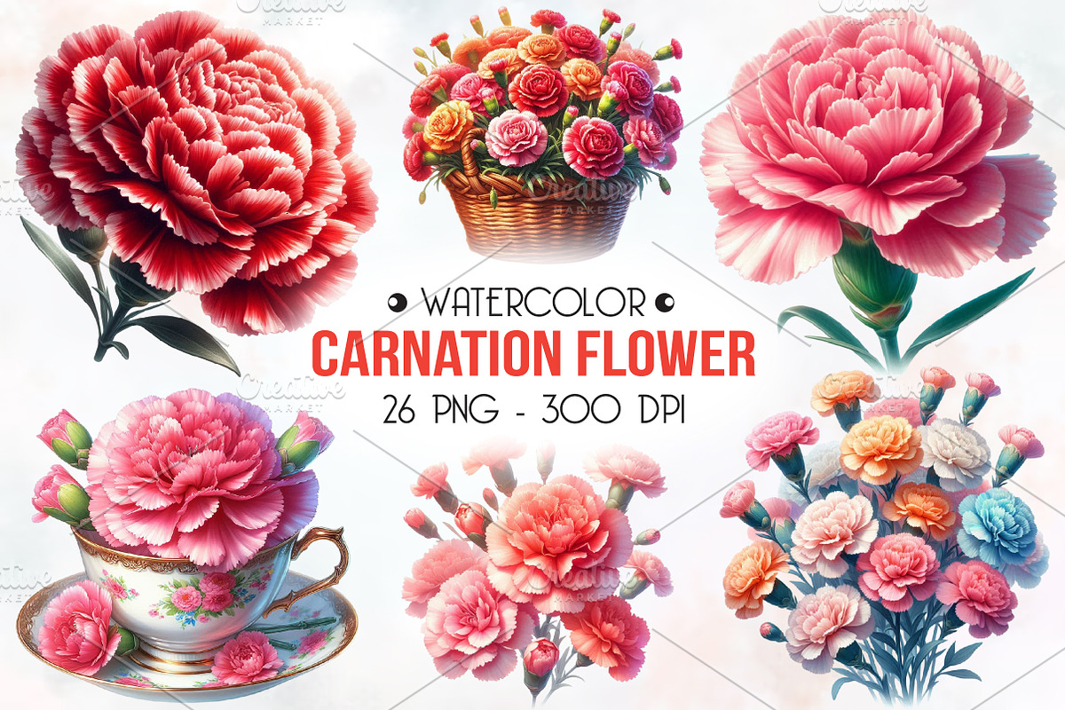 Carnation Flower Watercolor Clipart, an Illustration by RobertsArt (Photo 1 of 8)