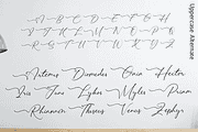 Lovely Hydrillas Font, a Script Font by Letterhanna Studio (Thumbnail 10 of 20)