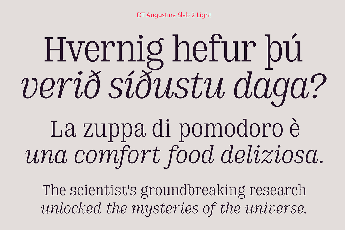 DT Augustina Slab 2 Subfamily, a Slab Serif Font by Deveze Type Foundry (Photo 6 of 30)