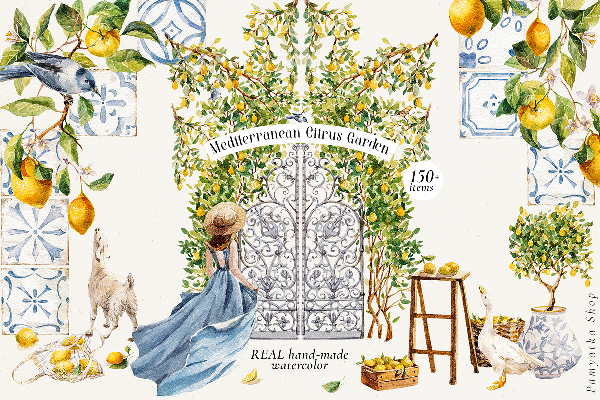 Mediterranean Citrus Garden clipart, a Decorative Illustration by Pamyatka Shop (Photo 1 of 14)