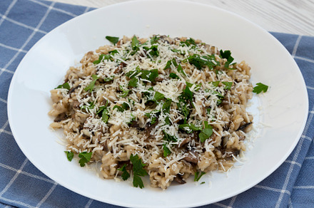 Homemade mushroom risotto with parsley on a white plate on a whi, a Food & Drink Photo by LiudmylaChuhunova