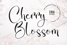 Cherry Blossom | Script Font