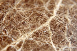 Textured brown surface with fine lines and cracks, a Background Photo by AlyaAnd
