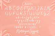 Janji Cinta - Handwritten Font, a Script Font by StringLabs (Thumbnail 8 of 9)