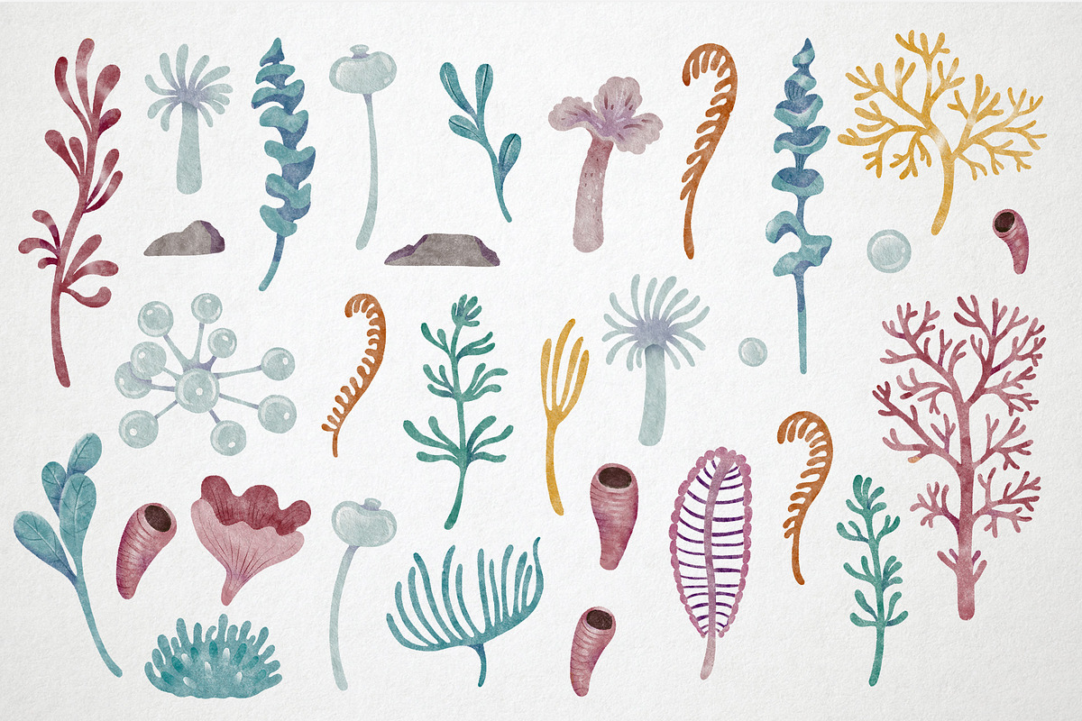 Dumbo Octopus Clipart and Patterns, an Animal Illustration by LukaJreym (Photo 3 of 9)