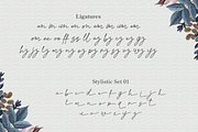Rosseta Notes - Monoline Signature, a Script Font by Attype (Thumbnail 8 of 8)