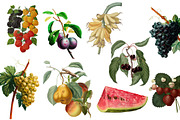 Vintage Fruit, an Illustration by Digital Vintage (Thumbnail 2 of 2)