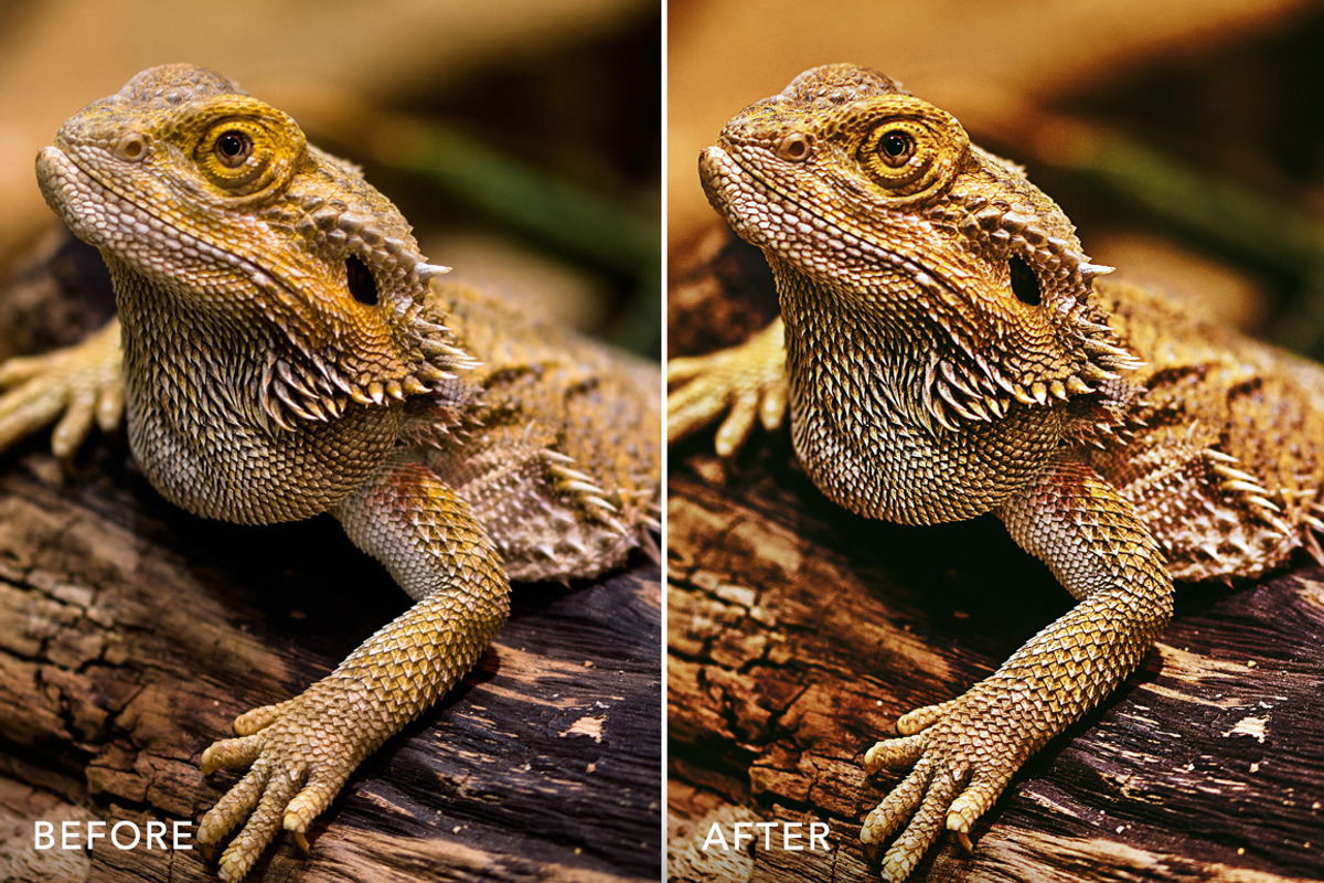 HDR PRO Photoshop Actions, an Action Add-On by FilterGrade (Photo 4 of 8)