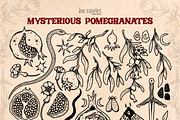 Mysterious Pomegranates Vintage Set, a Decorative Illustration by Ink Stories (Thumbnail 3 of 13)
