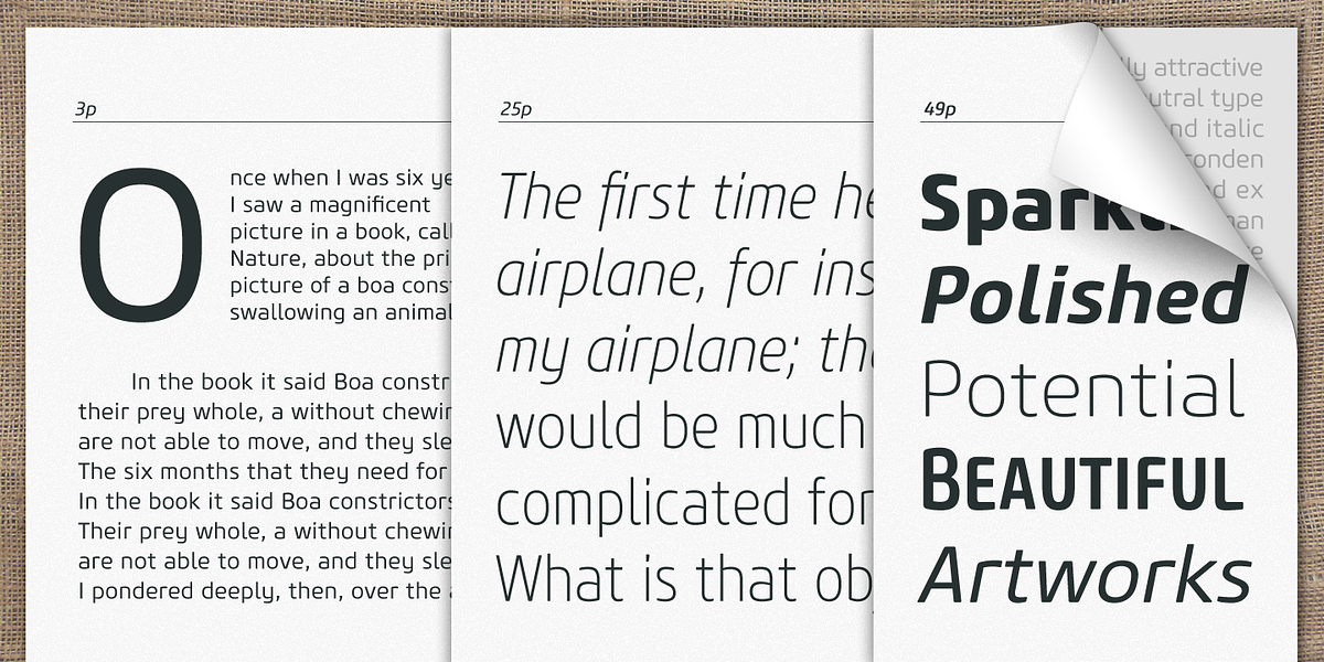 Core Sans M, a Sans Serif Font by S-Core (Photo 3 of 5)