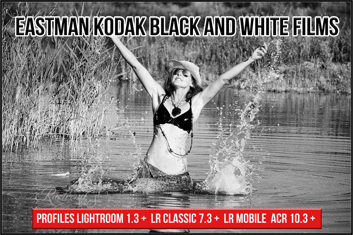 Eastman Kodak Black and White Films, a Plug-in Add-On by Raztrend (Photo 1 of 30)