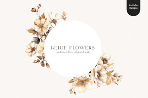 Beige Flowers