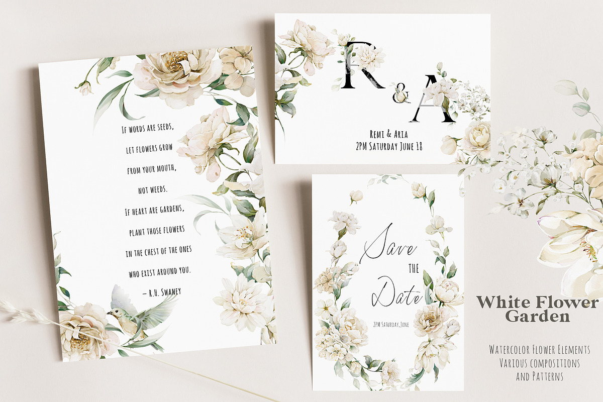 Watercolor White Flowers Collection, a Decorative Illustration by Damian Roh (Photo 2 of 16)