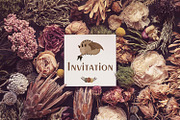 Bohemian dragon clipart and pattern, a Pattern Graphic by SleptArt (Thumbnail 6 of 9)