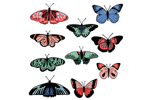 Butterflies And Petunia Flowers Set