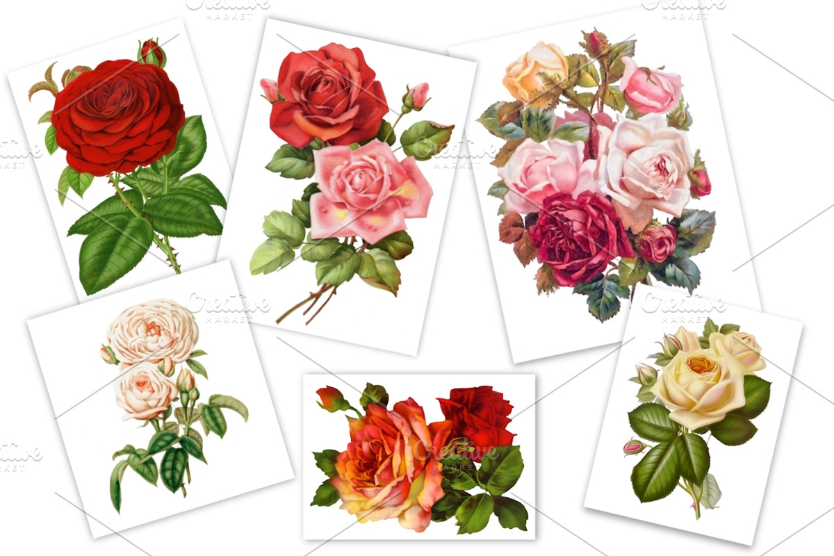Vintage Decoupage Collection, an Illustration by MDD Designs (Photo 2 of 5)