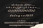 Hotlight Handlettering Business Font, a Script Font by MikroType Std (Thumbnail 11 of 12)