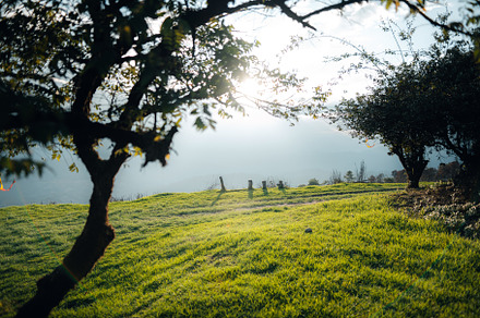 Green fields on the mountains in summer, a Nature Photo by Art Rachen
