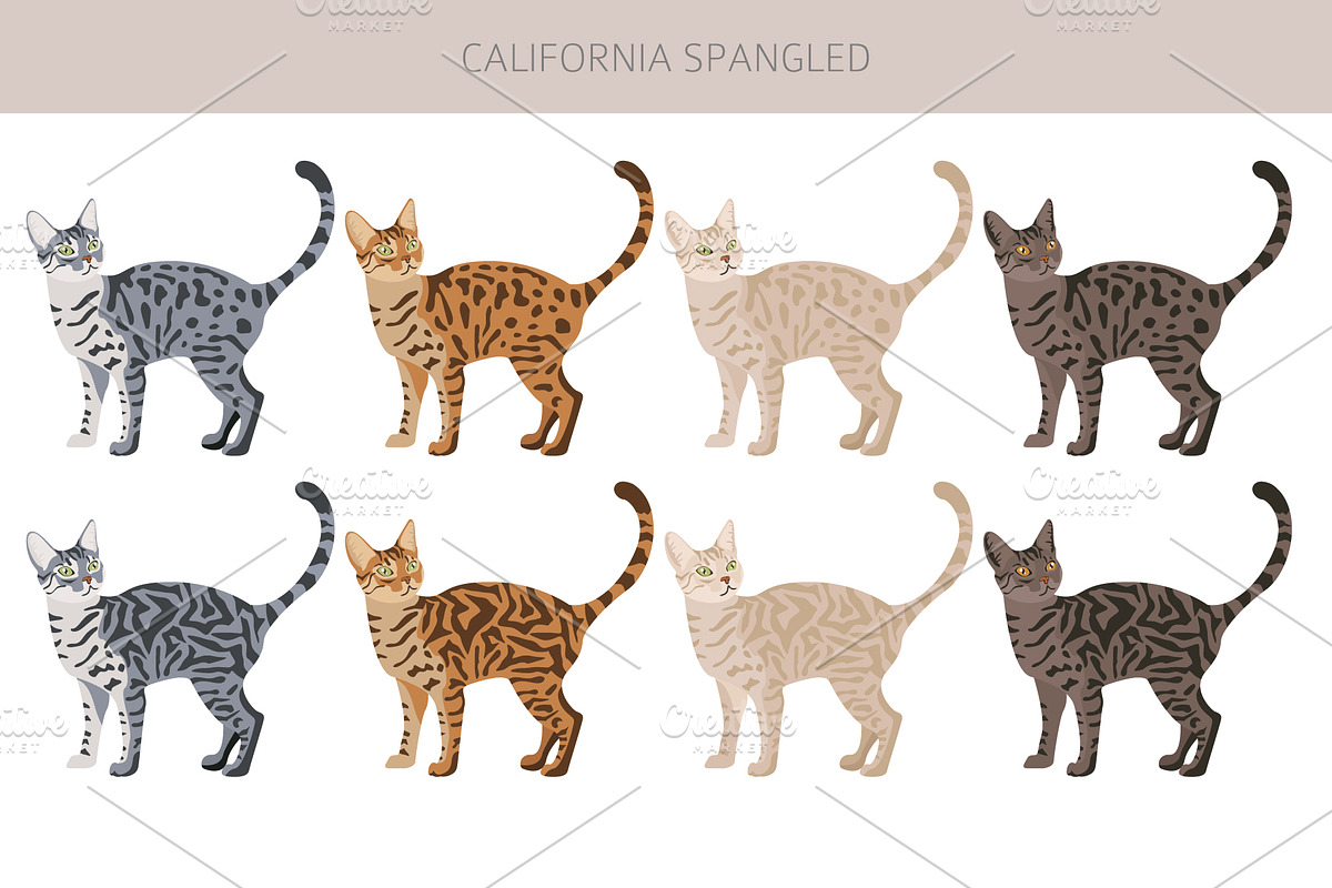 California Spangled Cat clipart set, an Animal Illustration by pet design shop (Photo 2 of 6)