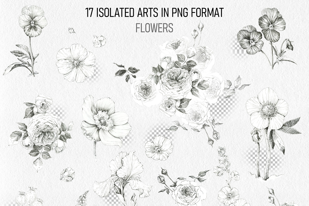 Flowers Graphics, an Object Illustration by Budogoshch (Photo 2 of 8)